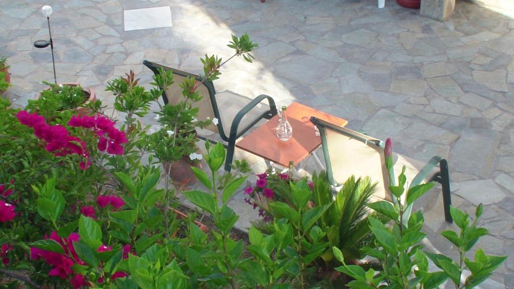 Creta Vassakis Studios room 5